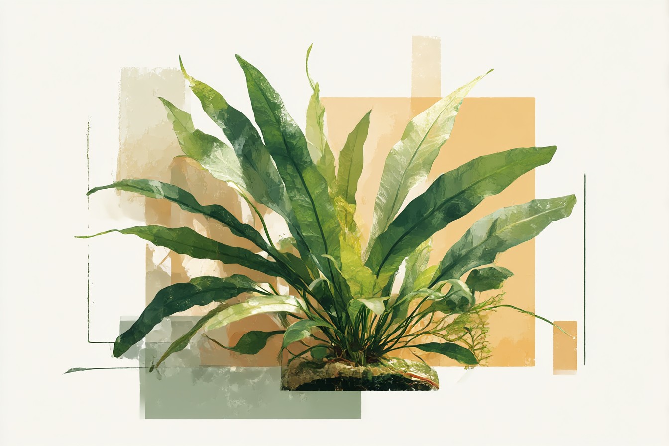 Java_Fern_and_the_Epiphyte_That_Dies_If_You_Plant_It_in_Subst_72099922-3ce6-46fa-aebe-5db954bd2986_1