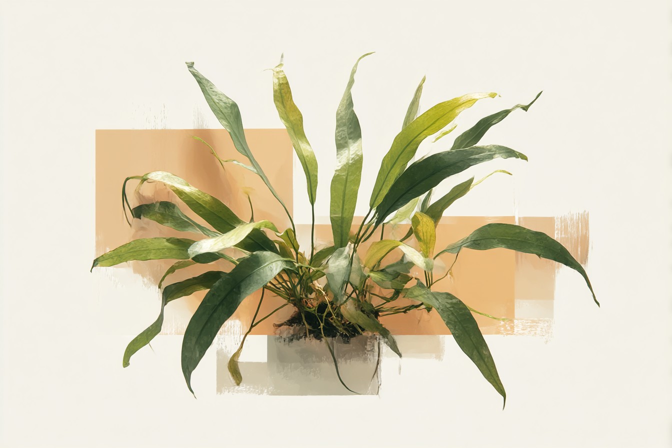 Java_Fern_and_the_Epiphyte_That_Dies_If_You_Plant_It_in_Subst_72099922-3ce6-46fa-aebe-5db954bd2986_2