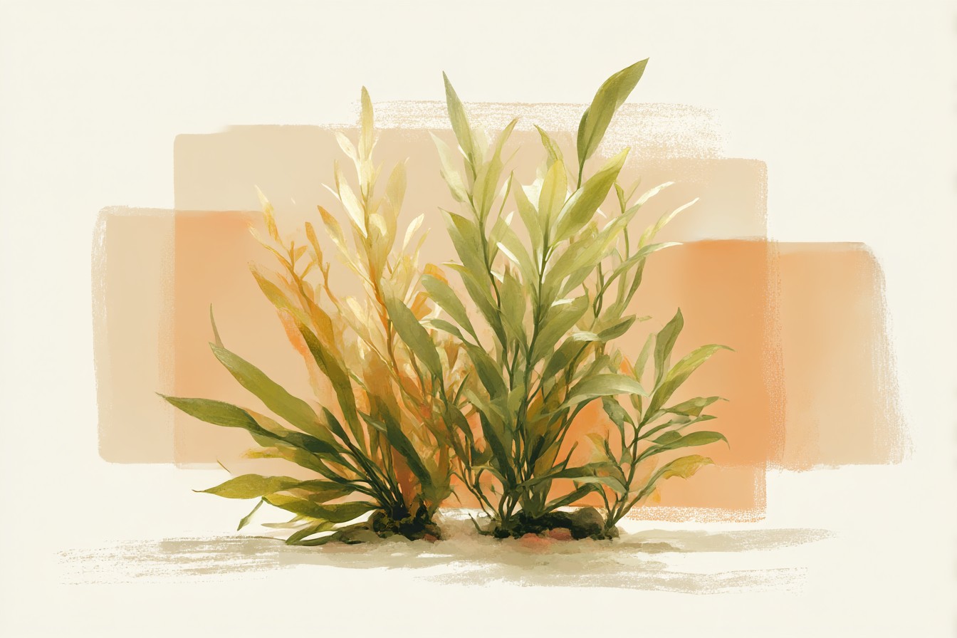Saltwater_Aquarium_Plants_and_Whether_They_Actually_Exist_or__dfb204f6-0edd-4eb6-b061-01fe6dfbc163_1