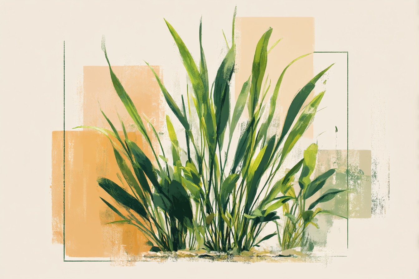 Vallisneria_and_the_Background_Plant_That_Does_All_the_Work_W_68910293-e8ad-4c8c-b9a1-5f9600d12adc_2